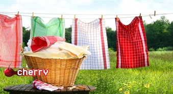 10 kg universālā Pro Series veļas pulvera Biologic -50%