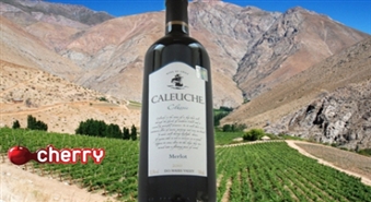 Экзотическое чилийское вино Caleuche Classic от Eirovīns -56%