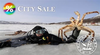 Uzdāviniet sev iespēju izmantot zemūdens pasauli pēc sava ieskata! Zemūdens peldēšanas sākumkurss ar akvalangu ar 50% atlaidi!