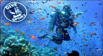 Super piedavājums! Atlaide 50% apmācīšanas kursam Open Water Diver.