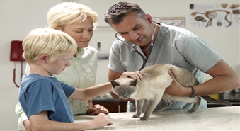 Parūpējies par savu mīluli! Kompleksā vakcinācija + mikročipēšana + Eiropas pase veterinārajā klīnikā "Vetcentrs"!