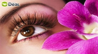 Beauty Empire: uzacu korekcija un skropstu, uzacu krāsošana ar noturīgu krāsu.