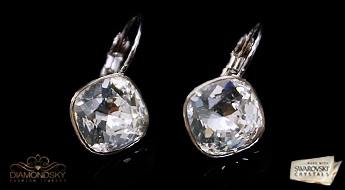 Auskari "Apžilbinošs Spīdums IV (Caurspīdīgs)" ar Swarovski™ kristāliem