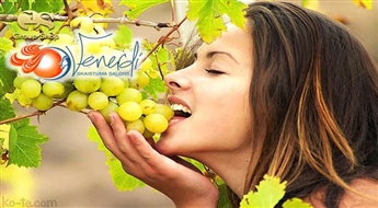 В салоне красоты «VENERDI» французкая косметика ALGOLOGIE линия продуктов «СЕКРЕТ ВИНОГРАДНОЙ ЛОЗЫ» - процедура с лифтинг эффектом (против морщин).