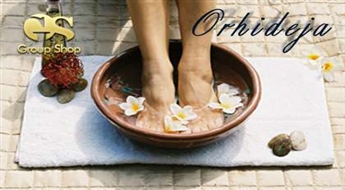 Аппаратный SPA-педикюр + пилинг + грейпфрутовая SPA-маска для стоп со скидкой 50%!
