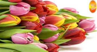 Uzdāviniet svētku noskaņojumu! 19 tulpes ar atlaidi -50% +Piegāde