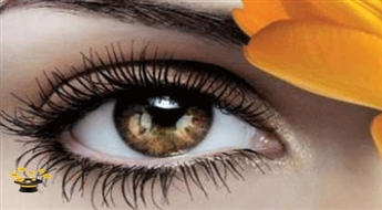 Skropstu ķīmiskie ilgviļņi salonā ”MANICURE STUDIO”ar 48% atlaidi!
