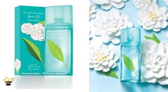 Smaržas Elizabeth Arden Green Tea Camellia EDT 100ml ar 50% atlaidi!