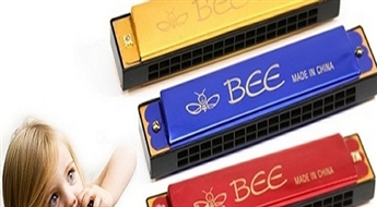 2.99Ls/4.25€ par  dažādu krāsu mutes harmonikām jautrai brīvā laika pavadīšanai!