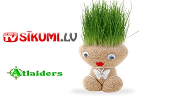Kreatīva dāvana Jūsu kolēģiem, radiniekiem vai draugiem! Grow-A-Head Doll (“Zāles galva”) ar 56% atlaidi – tikai par 1,59 Ls!