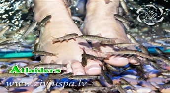 Педикюр рыбками Garra Rufa для одного (1 час) или для двоих (1 час), или педикюр рыбками Garra Rufa (1 час) + массаж ног (30 мин.) для одного со скидкой 72%, 60% и 55%!