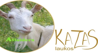 Ekoloģiskais dzīves veids – droša vide tavai ģimenei! Eko-ziepes trauku mazgāšanai un koka paliknītis no “Kazas Laukos” ar 50 % atlaidi !