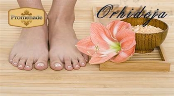 SPA aparātpedikīrs + pīlings + greipfrūta SPA maska pēdām ar 50% atlaidi!