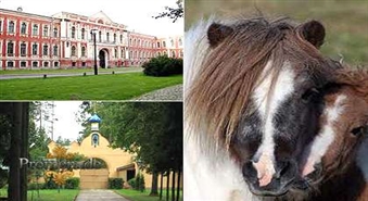 29.04 Valgundes klosteris,Jelgavas pils,Jelgavas Sv.Trīsvienības baznīcas skatu tornis,Zemgales poniji  ar atlaidi 50%!
