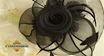 ELEGANTA GALVAS ROTA  NO SOLA CAFASSO FACTORY DIRECT  ar 45% atlaidi!