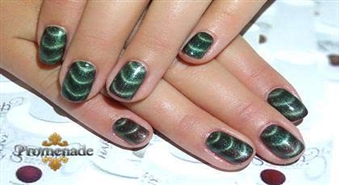Будь стильной! Экспресс маникюр с новым лаком Gelish Magneto в салоне „Orhideja” со скидкой 51% всего за 9,99 Ls!