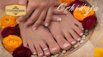 SPA aparātpedikīrs + pīlings + greipfrūta SPA maska pēdām ar 50% atlaidi!