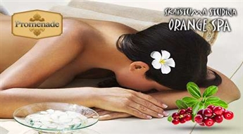 Витаминный СПА ритуал с брусникой в студии красоты "Orange Spa" со скидкой 53%!