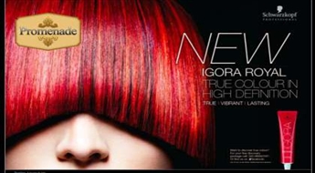Однотонная покраска «Schwarzkopf Igora Royal»,укладка и маска со скидкой 50% в салоне "Venezia" или "Eklektik"!