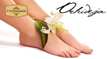 Аппаратный SPA-педикюр + пилинг + грейпфрутовая SPA-маска для стоп со скидкой 50%!