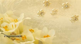Украсите свою причёску блестящими заколками от SOLA CAFASSO FACTORY DIRECT со скидкой 61%!
