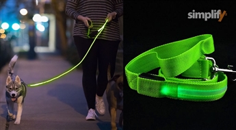 LED suņa siksna