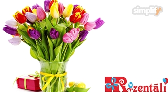 25 Latvijas tulpes no ziedu salona "Rozentāli"