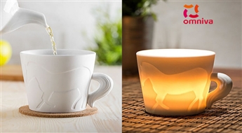 Tasīte ar astīti – Zirdziņš -35%