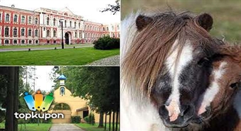 29/04 Valgundes klosteris,Jelgavas pils,Jelgavas Sv.Trīsvienības baznīcas skatu tornis,Zemgales poniji  ar atlaidi 50%!