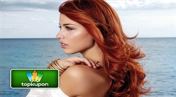 Medus, olīvkoka lapas, ledus ūdens… LAKME krāsošana salonā "Venezia" vai "Eklektik".