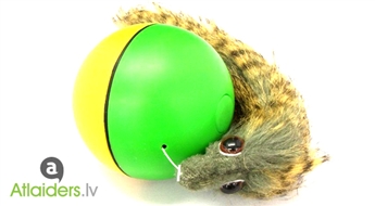 Веселая и занимательная игрушка Nutria Ball – сейчас всего за 4,49 EUR!