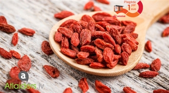 1 kg godži ogu stiprai imunitātei un veselīgai ēdienkartei - tikai par 15,99 EUR!