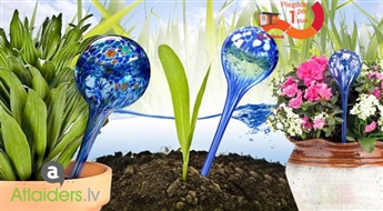 2 lodītes Aqua Globes automātiskai telpaugu laistīšanai!