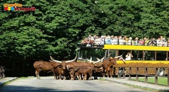 Polijas un Čehijas Sudeti