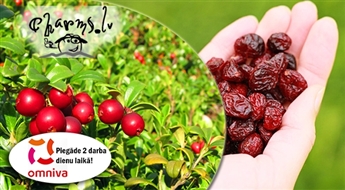 Žāvētas dzērvenes - bagātīgs vitamīnu avots 300 g.