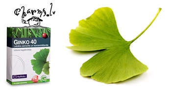 Ar Ginko 40 labāka asinsrite, koncentrēšanās un atmiņa!