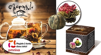 Ziedošās tējas komplekts no 5 granulām