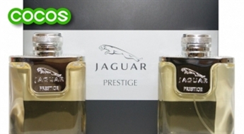 Jaguar- Prestige komplekts