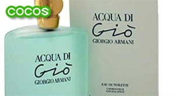 Giorgio Armani Acqua di Gio EDT 100ml