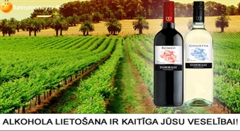 Итальянские вина из региона Veneto со скидкой 52%