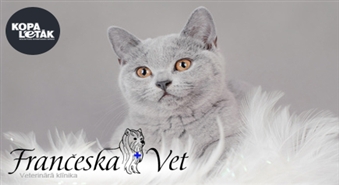 Visiem minču saimniekiem: Kaķenes sterilizācija veterinārajā klīnikā FRANČESKA VET ar 40% atlaidi