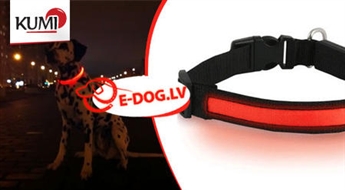 Spīdoša kakla siksna DogTrace ar dažādiem režīmiem + bezmaksas piegāde -50%