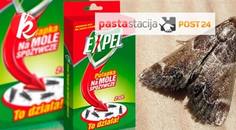 Līmējošās mājiņas-slazdi pret pārtikas kodēm: Effekts uz 6 mēnešiem! -40%