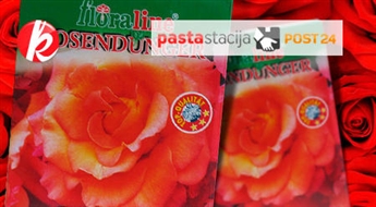 Visskaistākās rozes Jūsu dārzā! Austākās kvalitātes organisks mēslojums rozēm FLORALINE ROSENDUNGER (1 kg) -61%