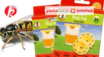 Практичная ловушка для ос Wasp trap (3 шт.) -57%