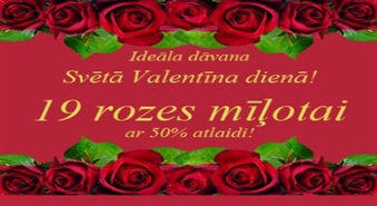 19 burvīgas rozes ar 50% atlaidi par 12Ls +100% atlaide piegādei!