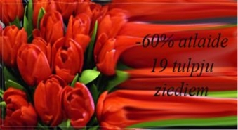 -60% atlaide 19 tulpju iegādei +100% atlaide piegādei!