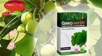 VitaCare: Ginko Max 120 для энергии, памяти и кроовообращения