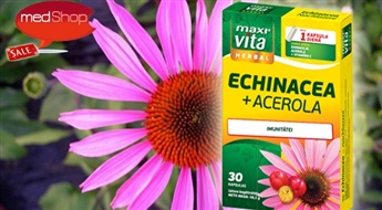 VITAR:  MaxiVita® Herbal Echinacea + Acerola для крепкого иммунитета