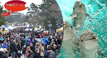 NIKOS travel: Klaipēdas delfinārijs + Krusta kalns +  atpūtas komplekss JUOZO ALUS